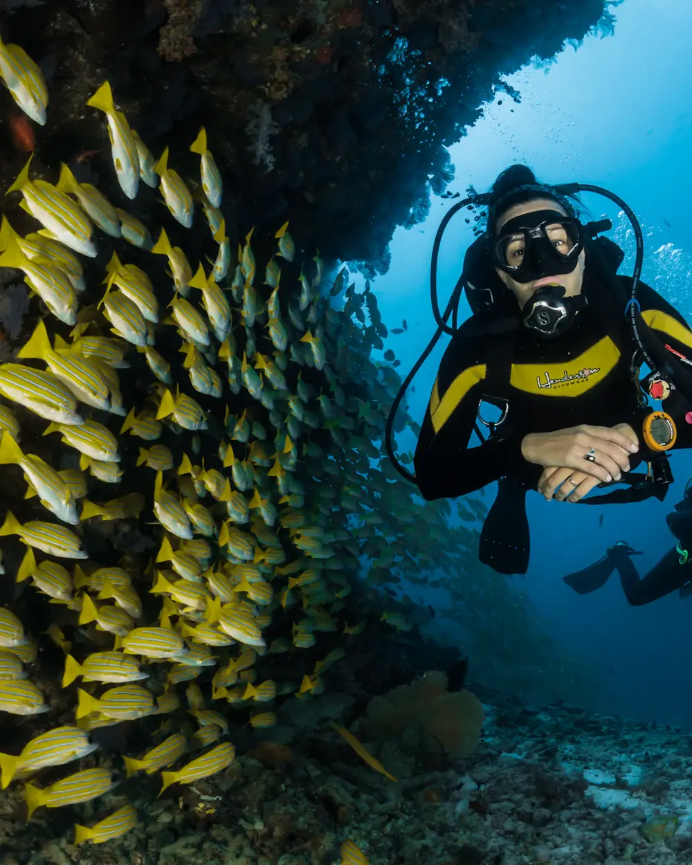 Scuba diver beside a dense school of yellow fish