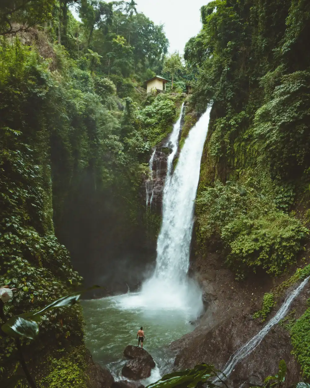 Tall jungle waterfall in a green gorge