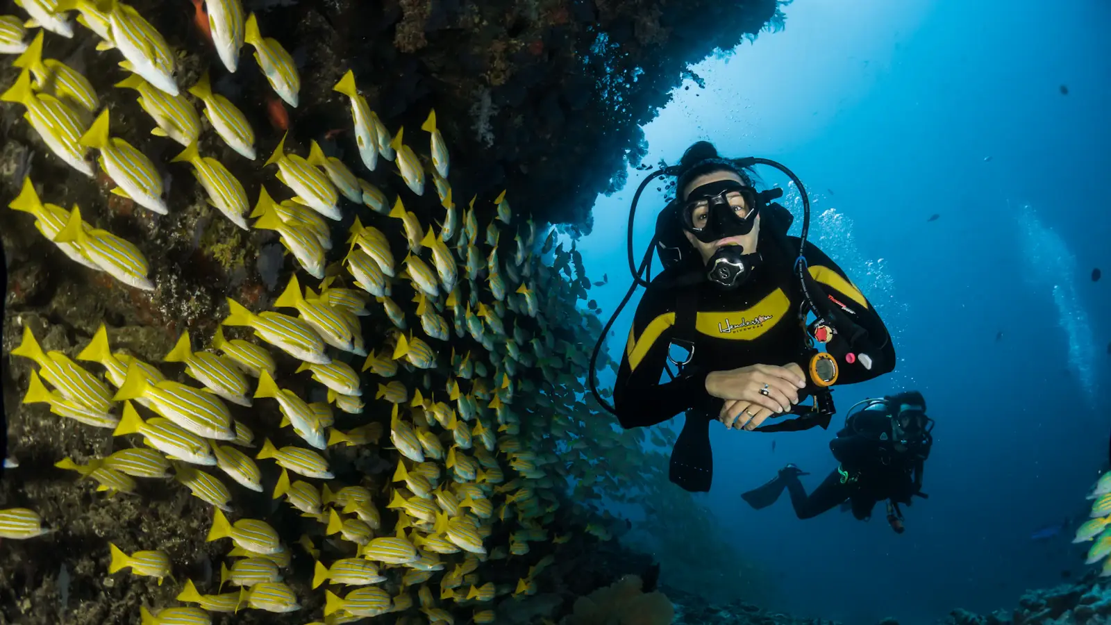 Scuba diver beside a dense school of yellow fish
