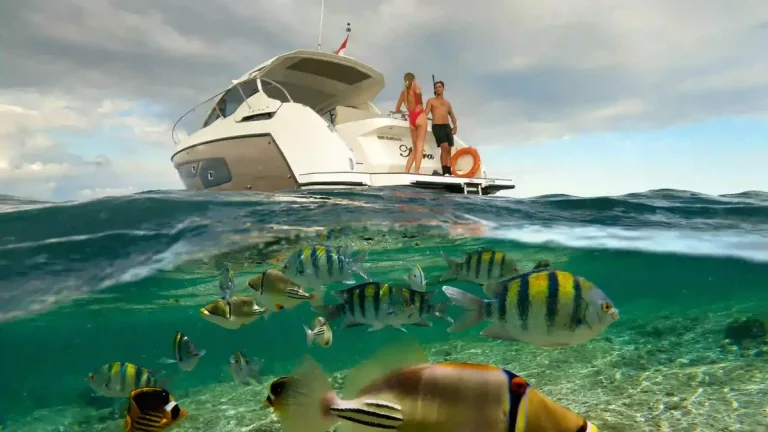 Diver over a coral reef in clear open water