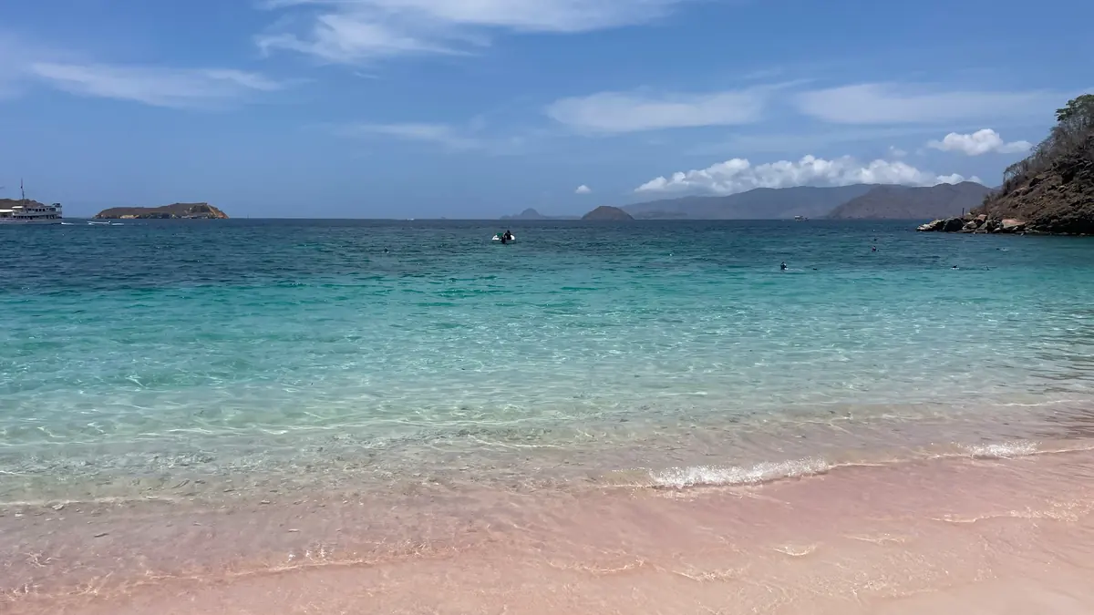 Pink-tinged sand meeting clear shallow water at Pink Beach, Komodo National Park