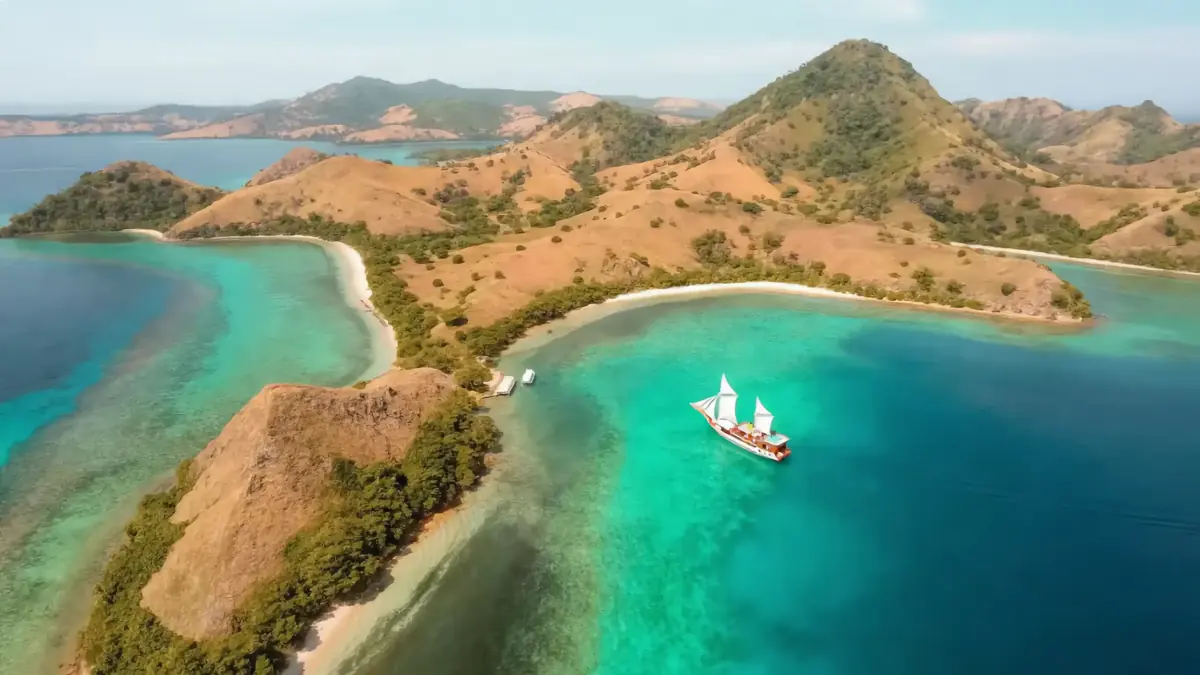 Aerial view of a small forested island ringed by shallow reef